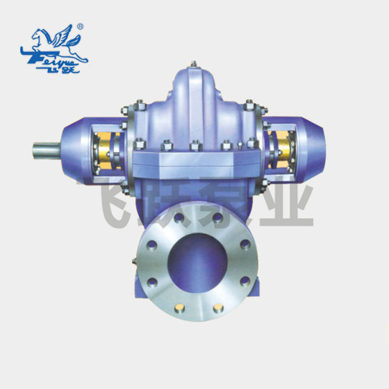 FBS series double suction pump (BB1)