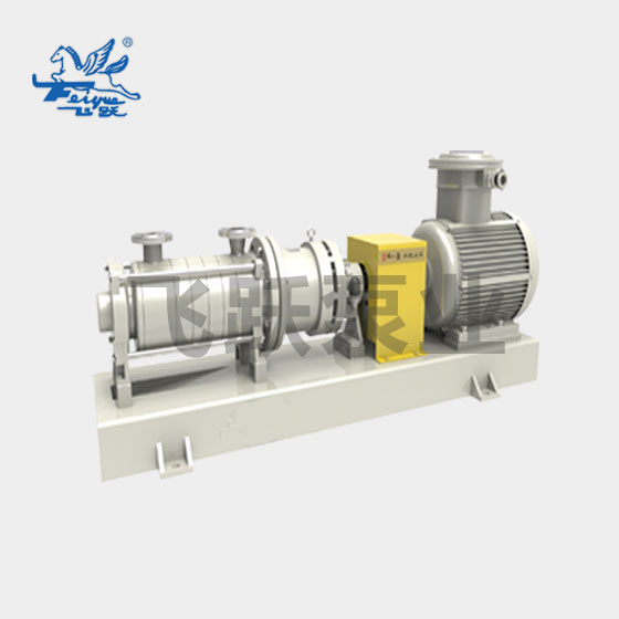FDW multi-stage magnetic pump